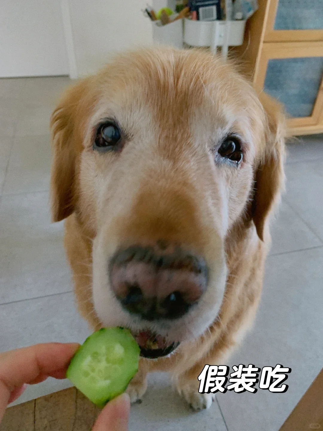 孩子挑食 怎么办？