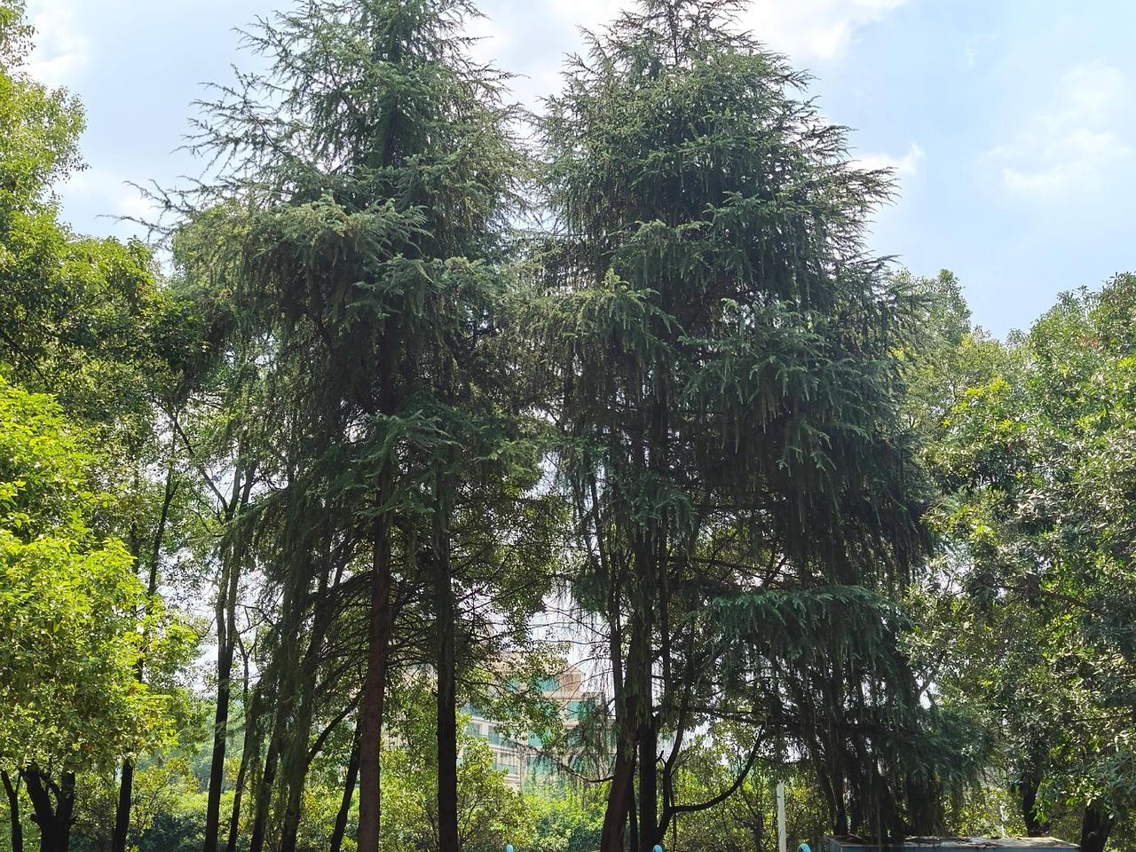 人这一辈子，就是一个过程，没有永远盛开的花，也没有不老的青春，时间一到，该老的老