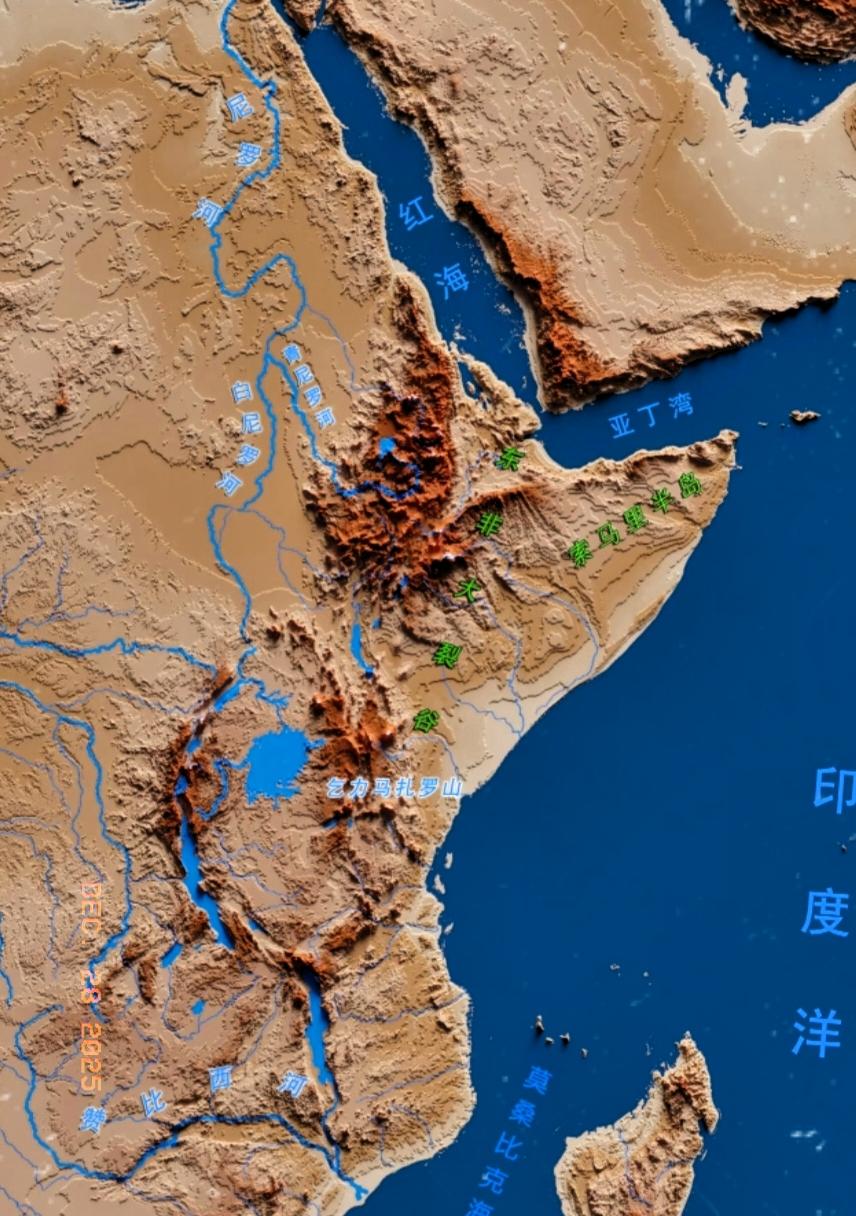 内塔尼亚胡再惹众怒，迎来被“重拳”出击！12月27日，约旦、埃及、阿尔及利亚、伊