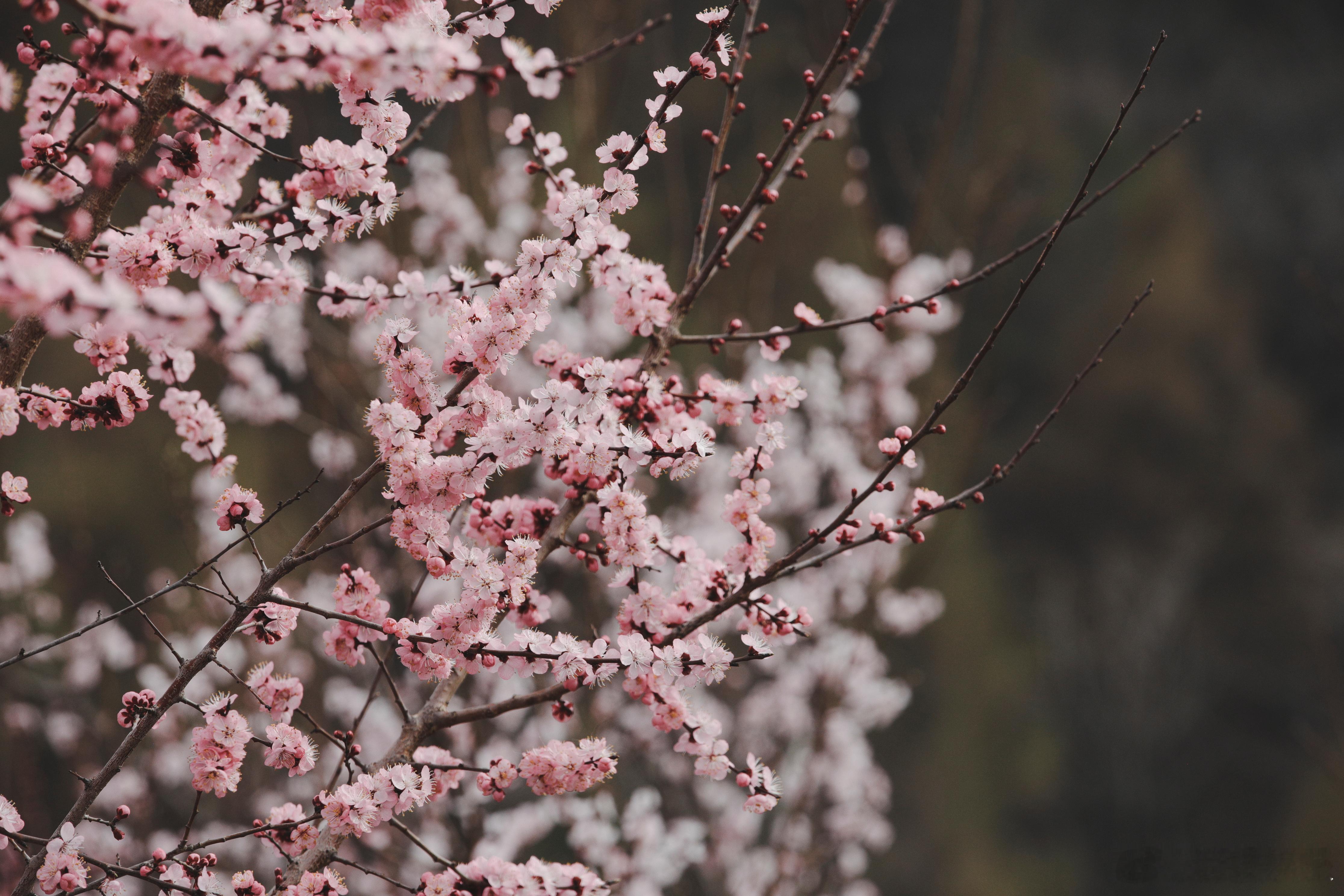 五一亲子游不知道该去哪里，不妨走进人气满满的辽宁铁刹山。景区山林绿植覆盖率极高，