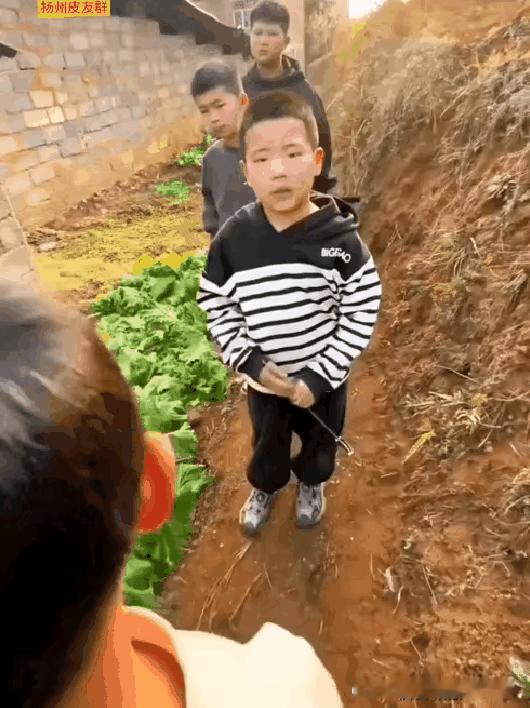 从小就学会了黑吃黑啊