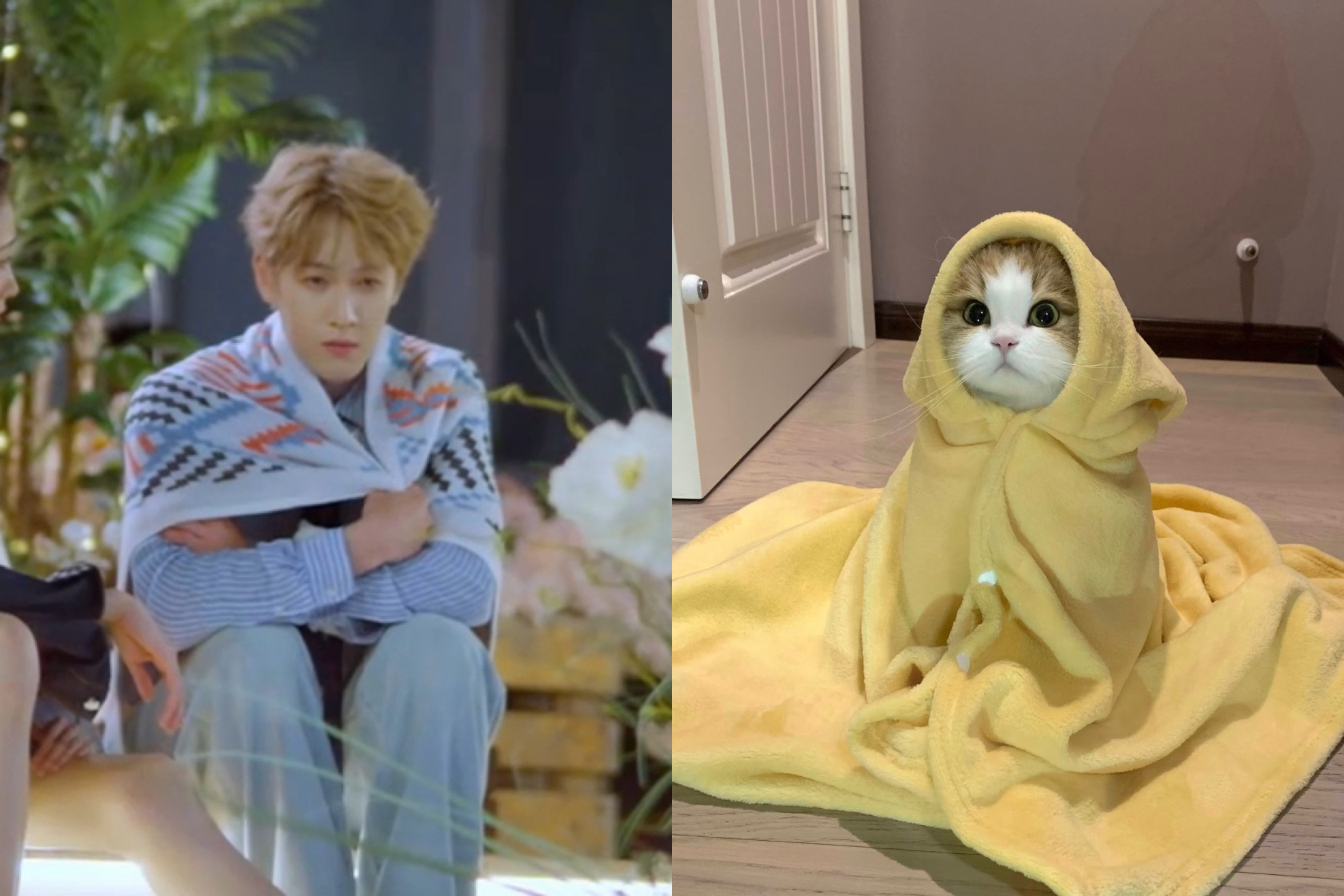 找到了李昀锐是猫猫的证据🫣 