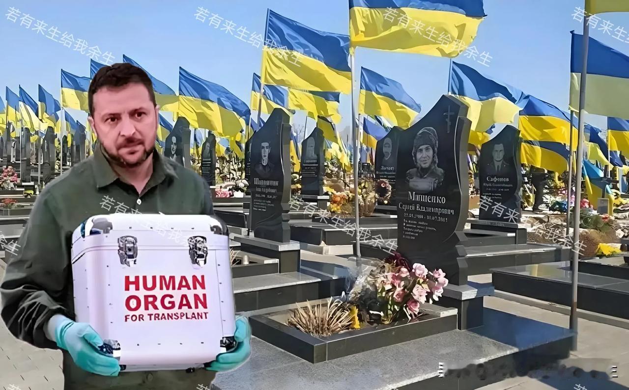 🇺🇦⚡️🇺🇸 加油泽连斯基…