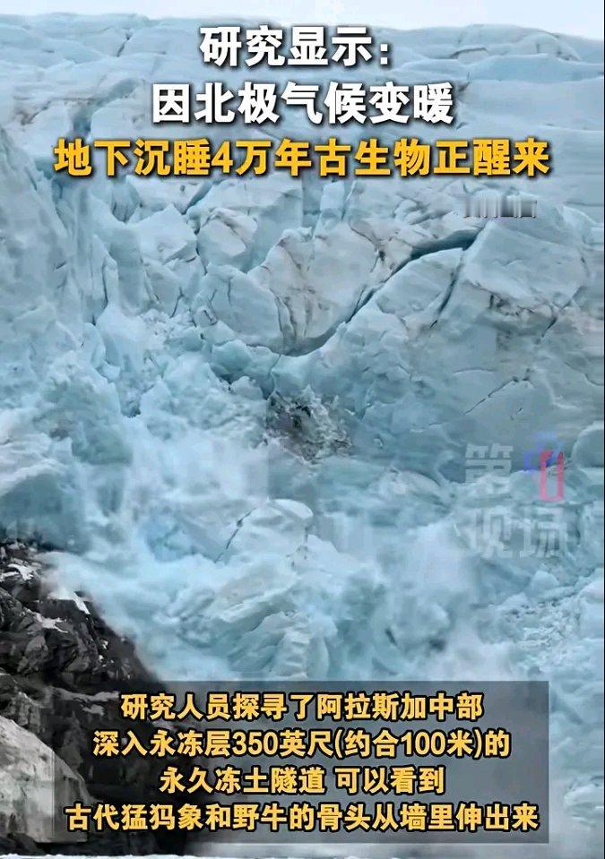 全球变暖真的太可怕了！据报道，北极地下沉睡4万年的古生物正在醒来。科学家深入阿拉