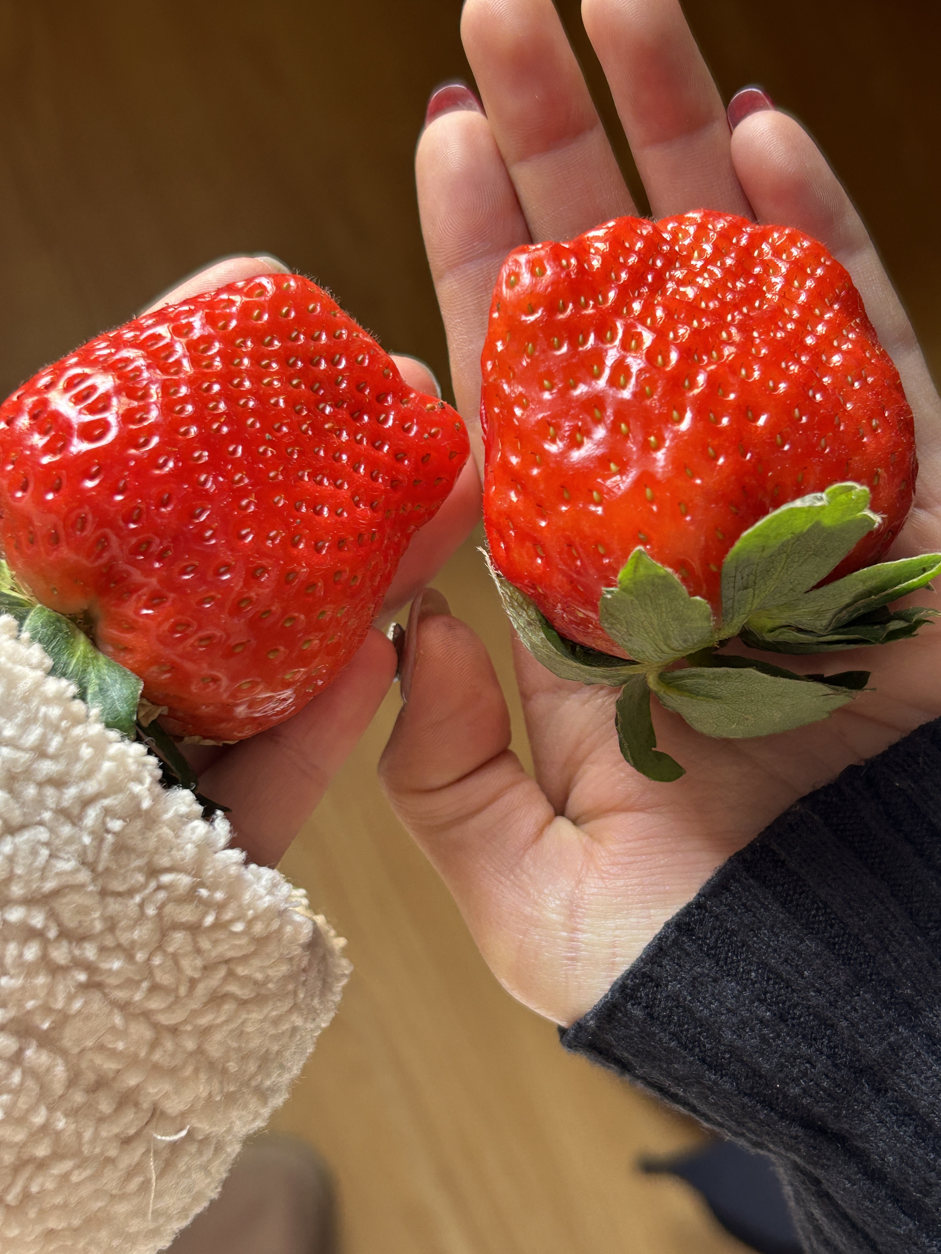 ⭐ 𝗟𝗲𝗶𝘀𝘂𝗿𝗲 𝗧𝗶𝗺𝗲 🌞在哄自己开心这件事上 我