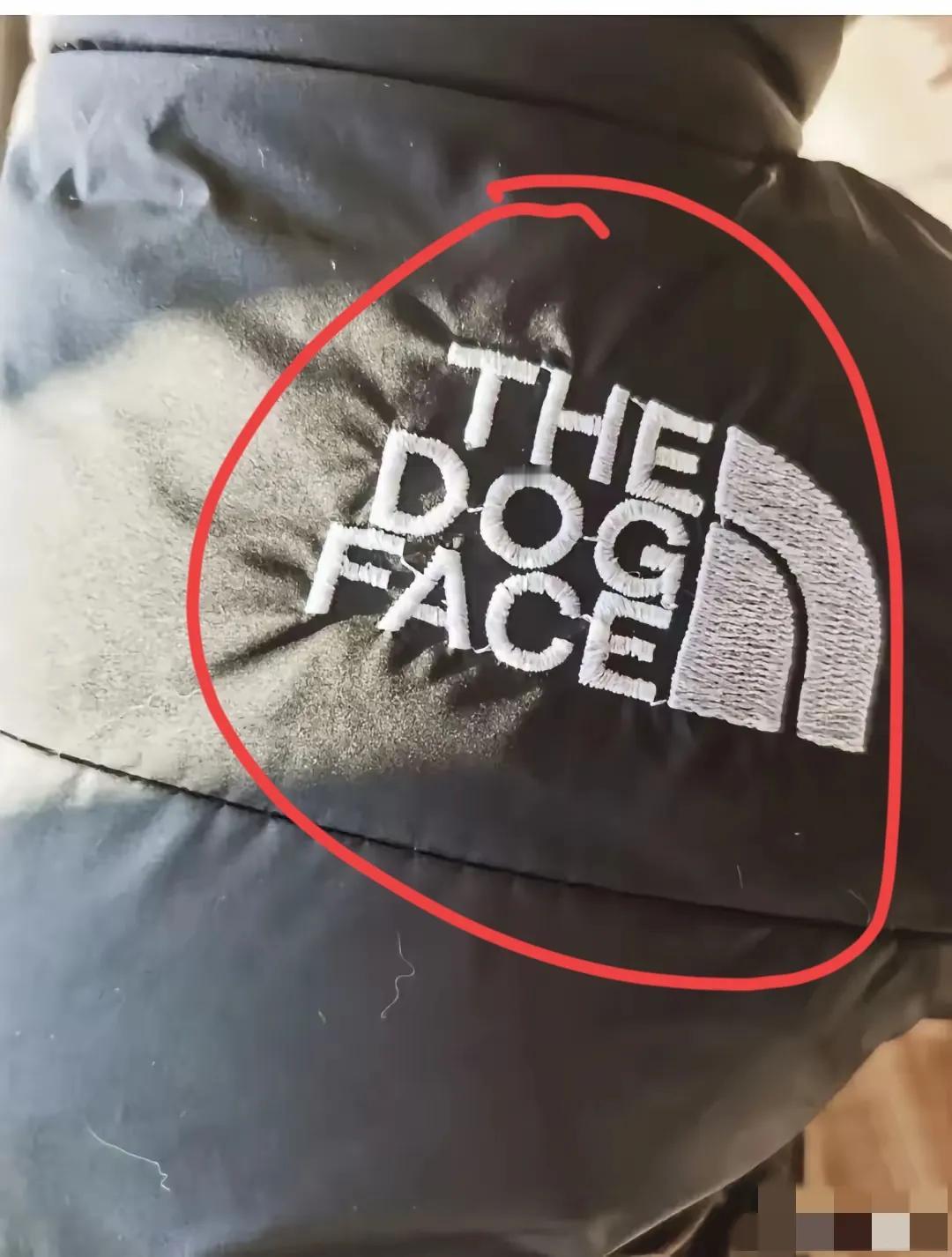 穿这种袄子的人挺多的，
一路上看到了好几个，
可是仔细一看又不一样！
到底哪个才