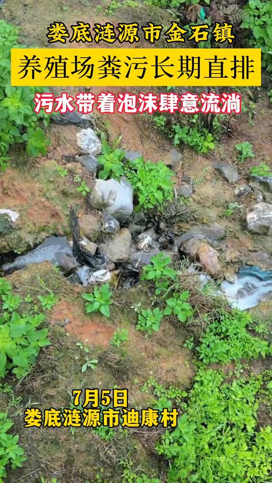 娄底涟源市金石镇养殖场粪污长期直排，污水带着泡沫肆意流淌。
7月5日，娄底涟源市