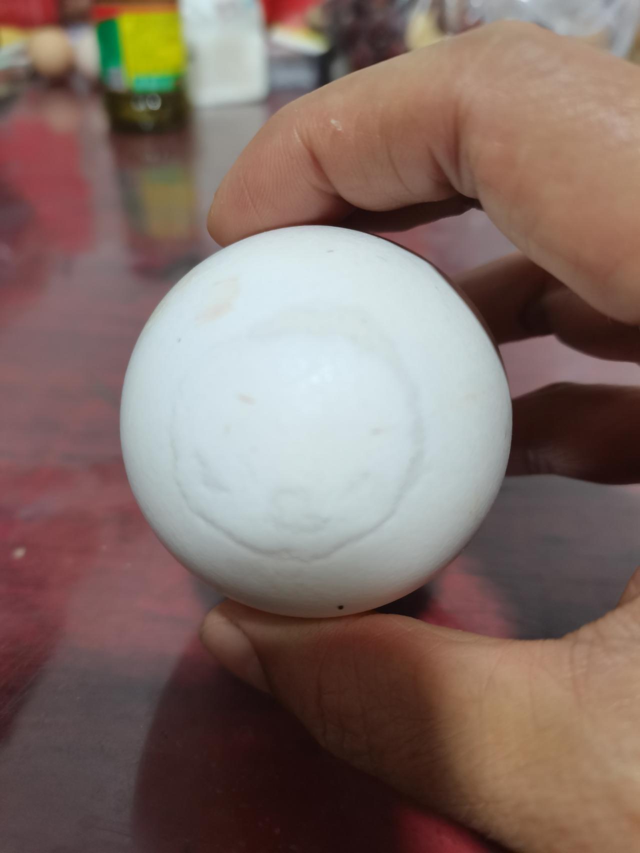 一枚自带笑脸的鹅蛋
早晨煮蛋的时候发现了这枚自带笑脸😊的鹅蛋，本来以为是脏东西