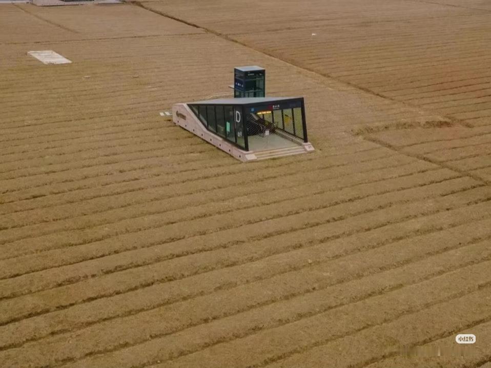 建设地铁要有前瞻性，这是运粮的地铁吗？