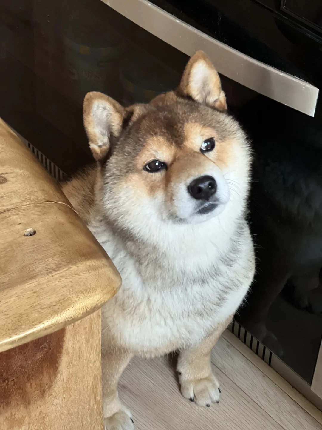 谈不上老实 有点装