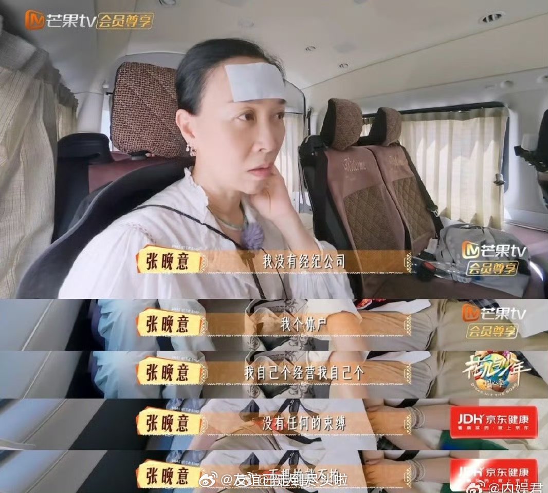 张晚意没有经纪公司张晚意在综艺里谈到自己是个体户，拍剧接剧完全自己决定，张晚意粉