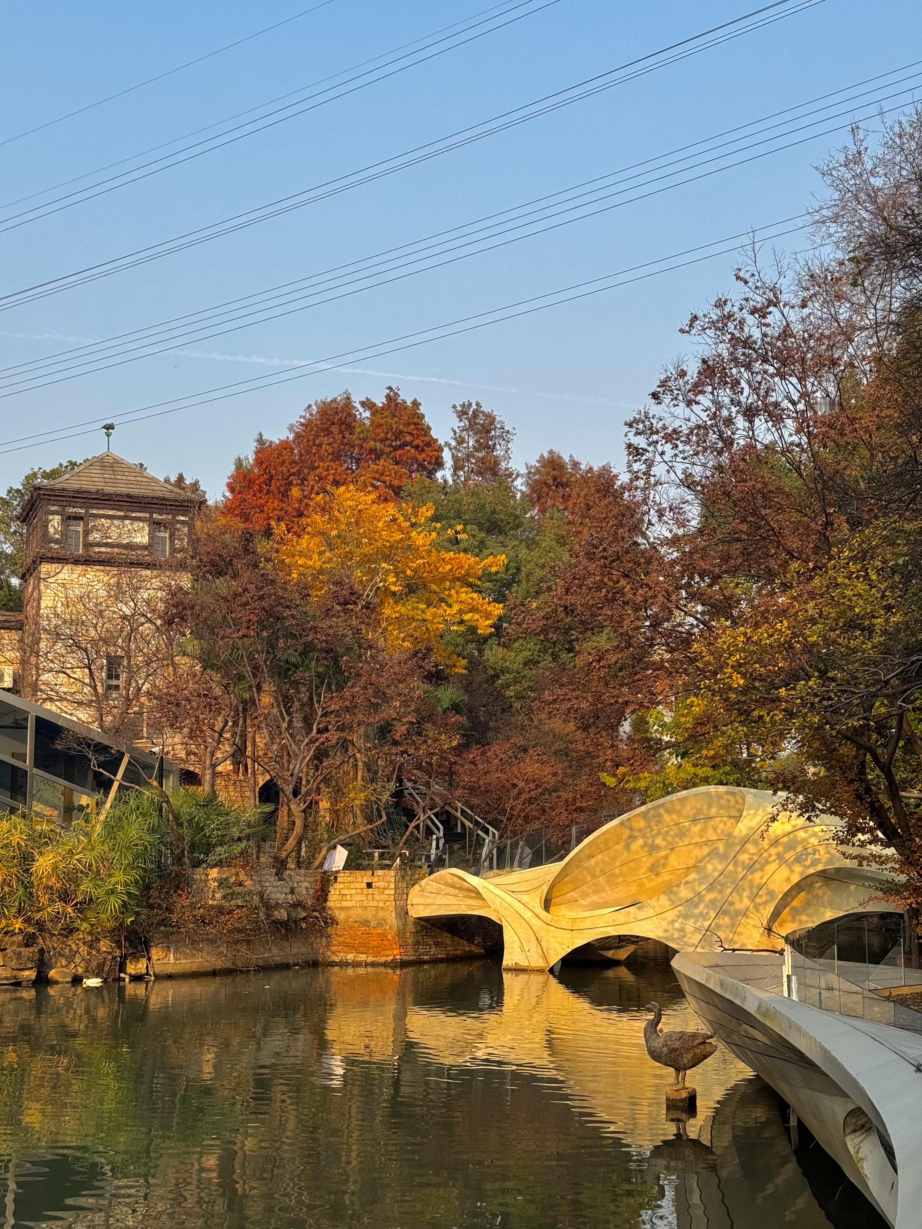 喜欢不冷不热的秋天🍂又去逛得丘啦！太爱得丘了~ 