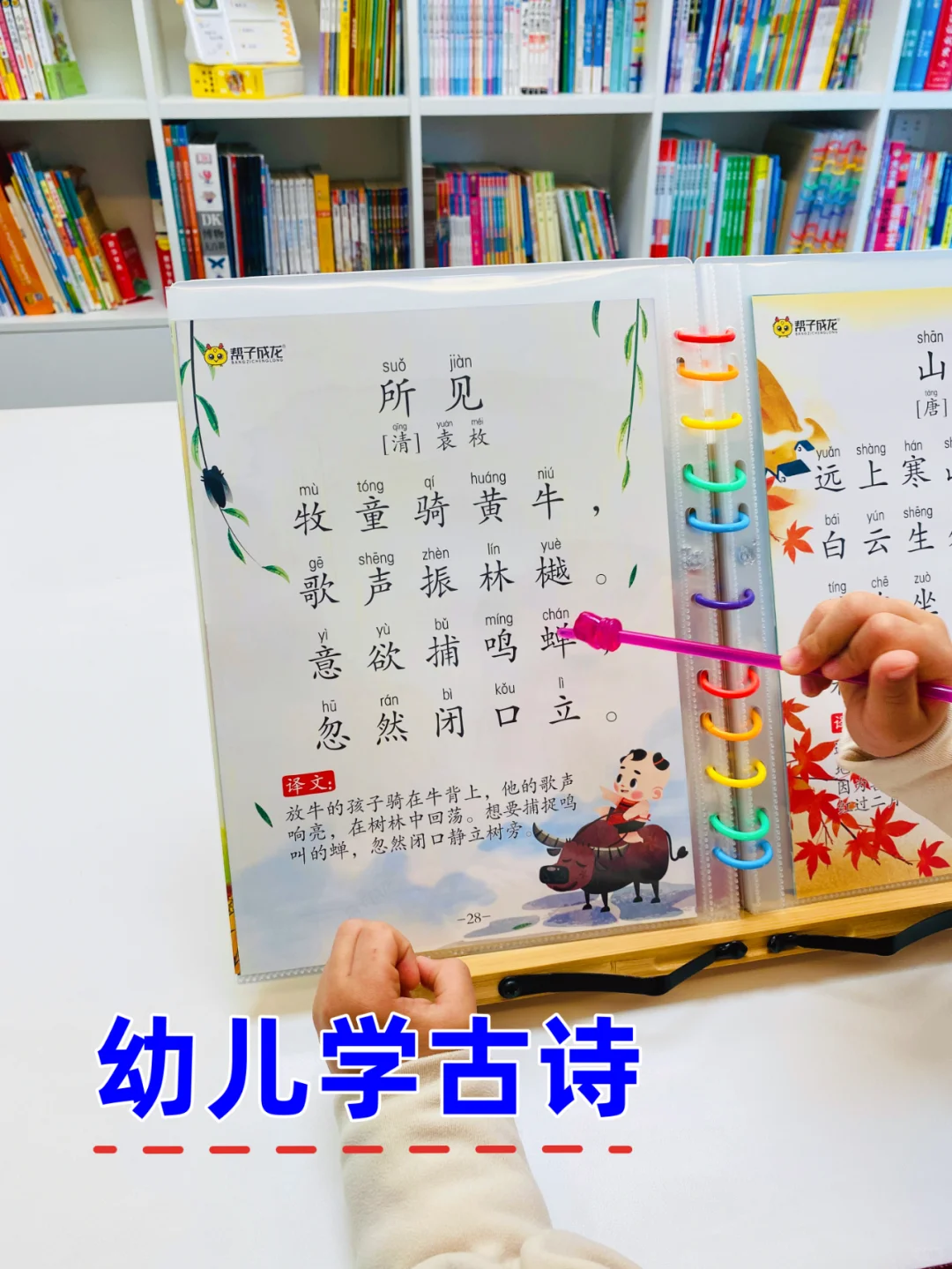 幼儿必备古诗词 | 坚持晨读打卡，超大字