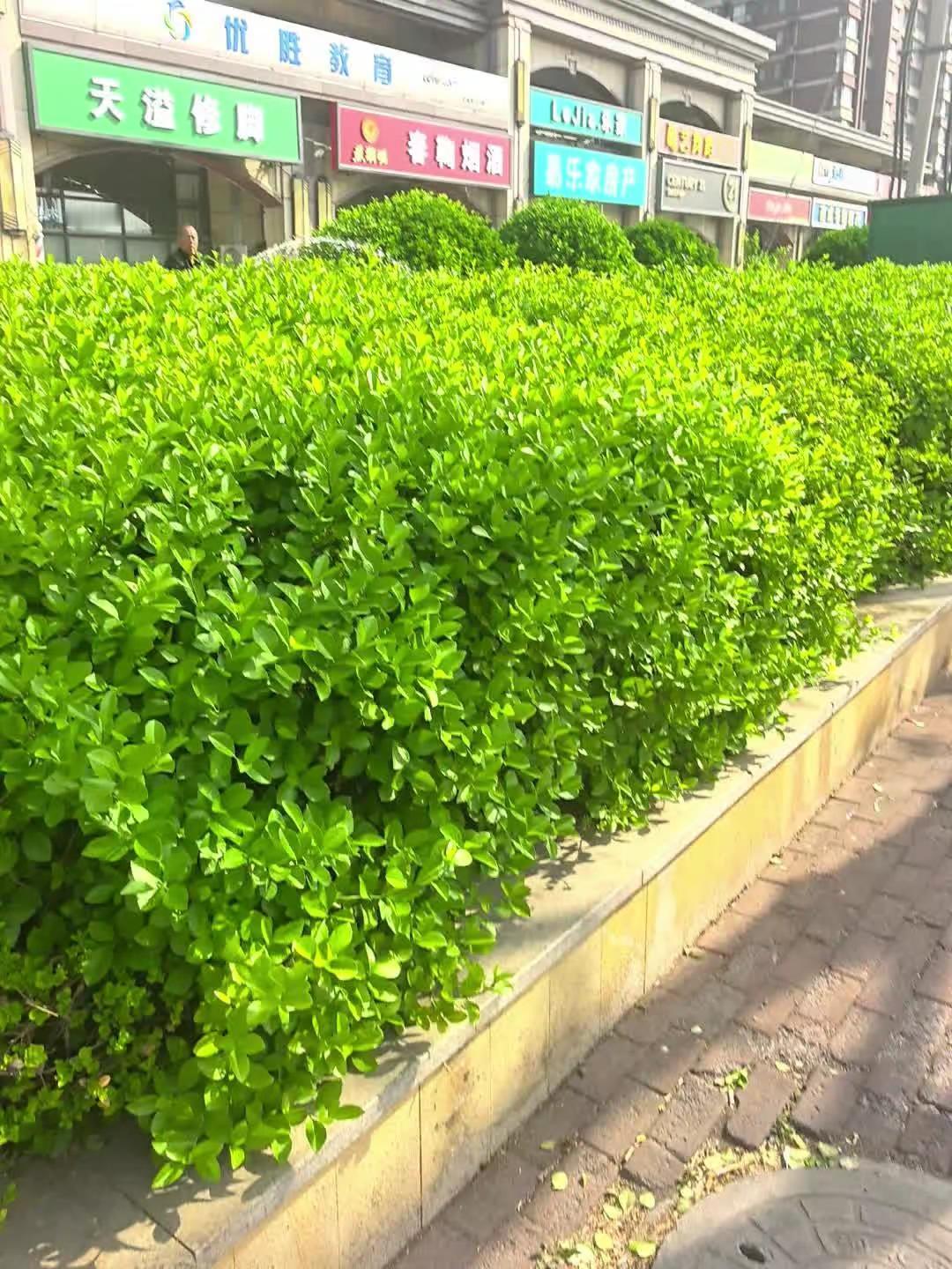 你们猜大爷一天能赚多少？