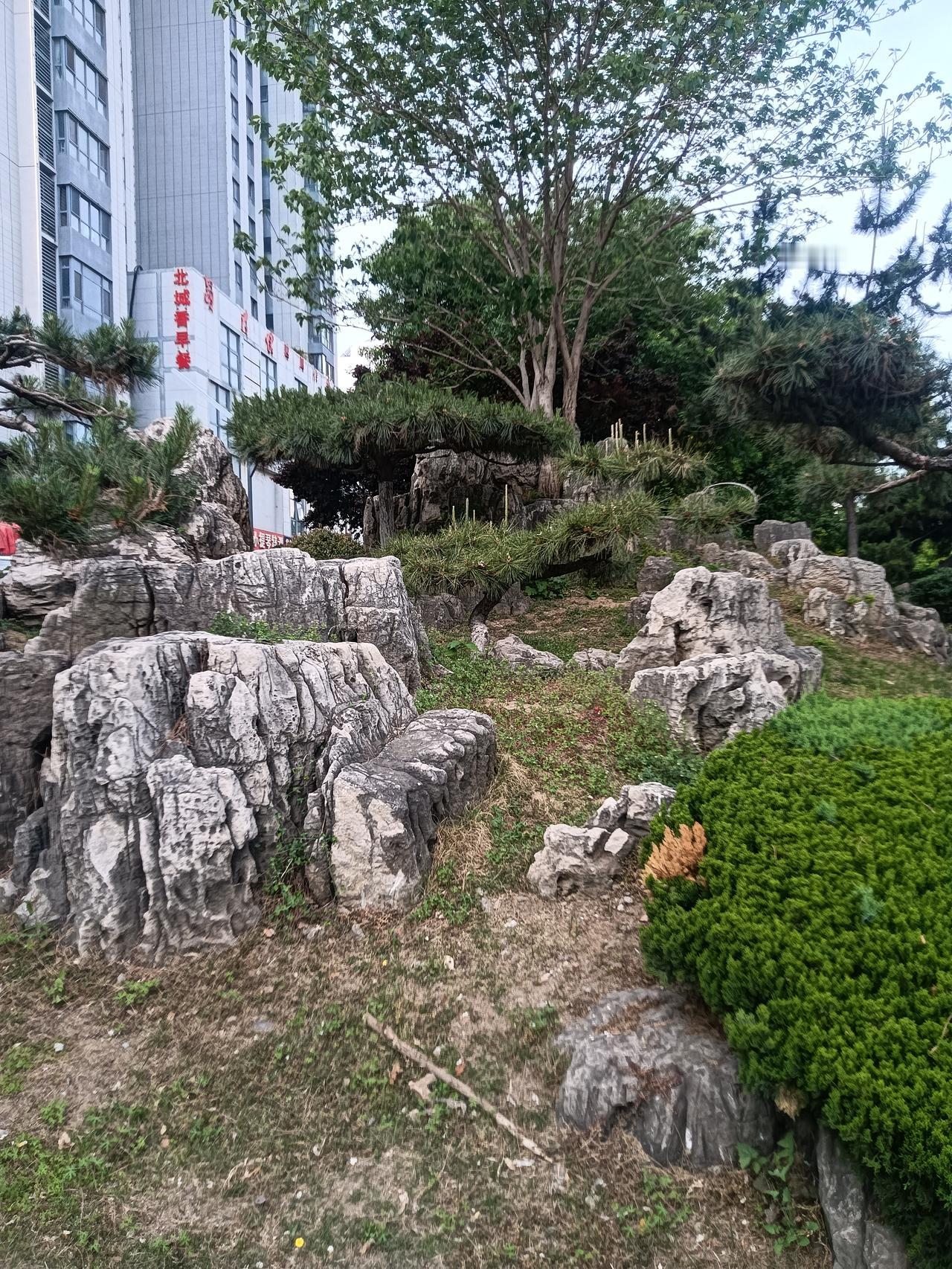 景
文/李兴伟
祖国大地处处景，
景大景小景不同。
有的呈现古建筑，
有的可能花
