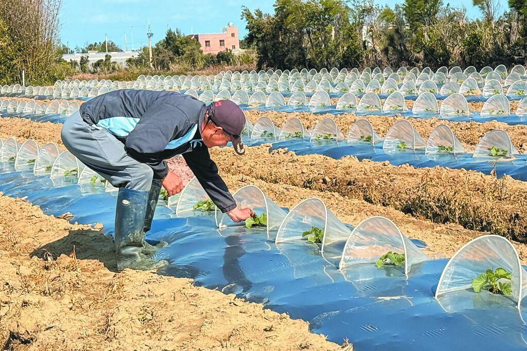 蒋万安喊话大陆：进口台湾农产业应建立制度，不能让台湾农民无辜受害
台陆委会副主委