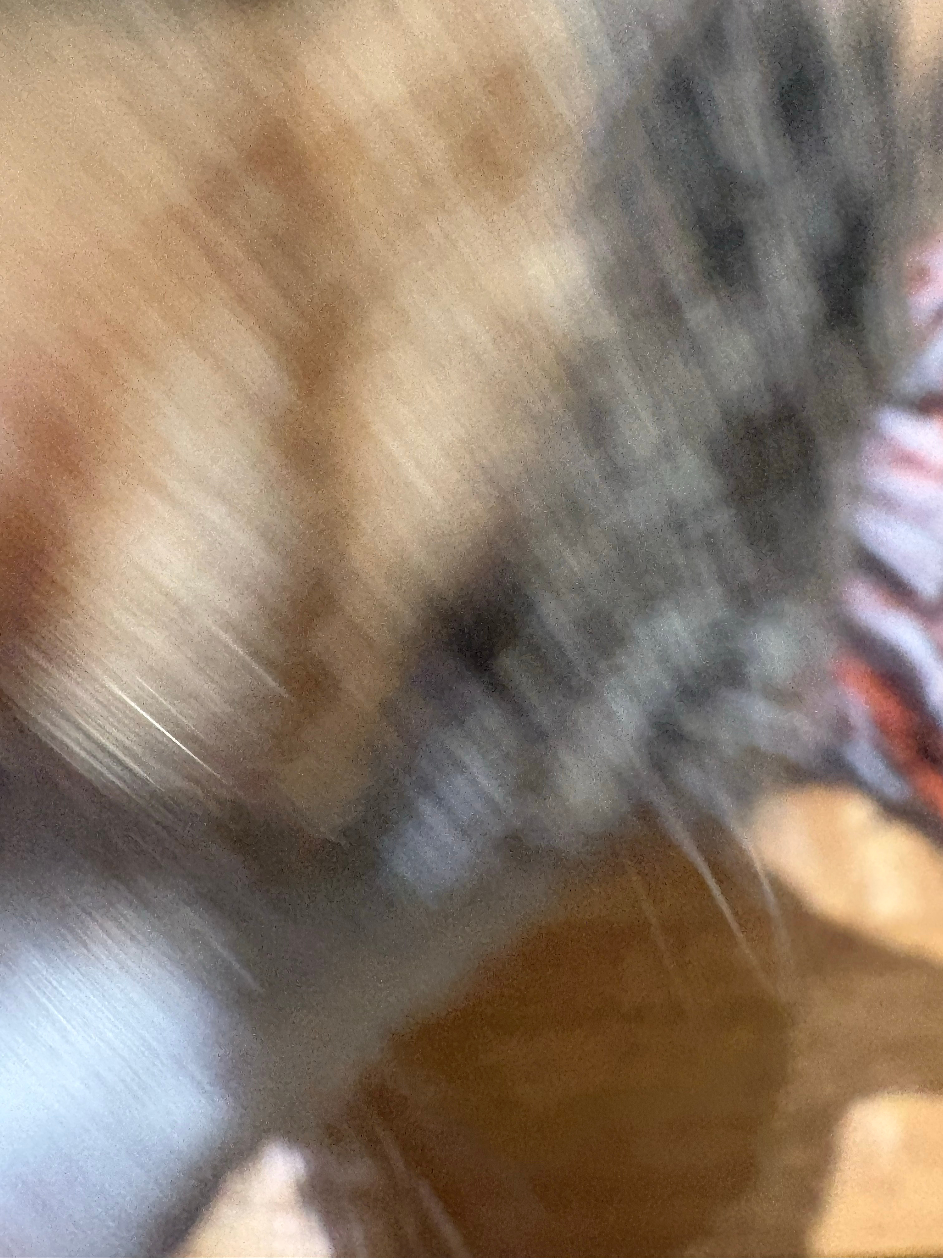 见不得小猫这么舒服想让他上班 如果他去上班了比我賺的多就好了 想躺平让喵养我 