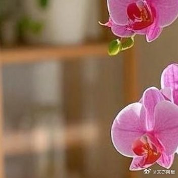 生活看似循环往复、平淡寻常，日日皆是寻常光景。可那些细碎流淌的时光里，总在悄然酝