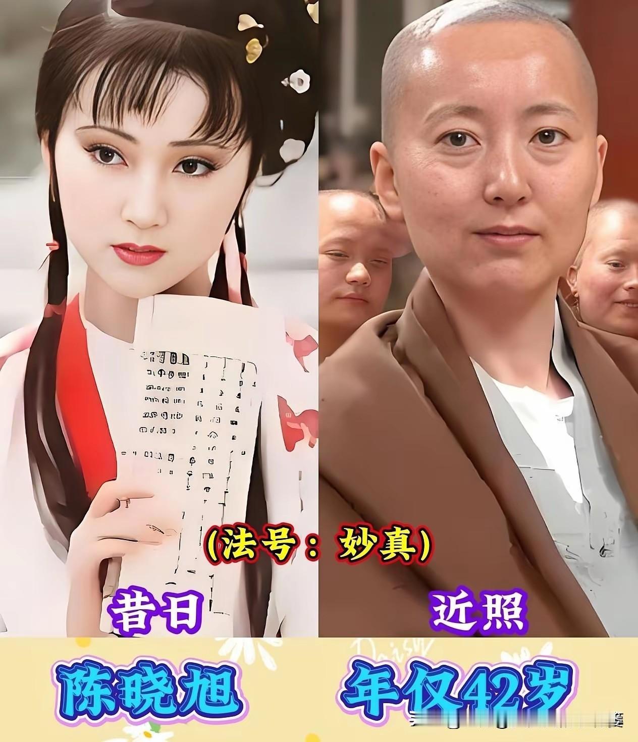 从星光到青灯：10位出家的明星，褪去繁华后的人生
曾经，他们是荧幕上的焦点、舞台