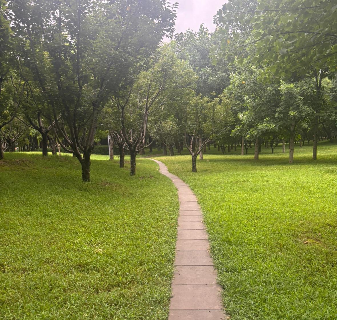 西江月•归途心语

 文/青云
看尽花开花落，历经人去人过。
浮生夙愿尚繁多，亲