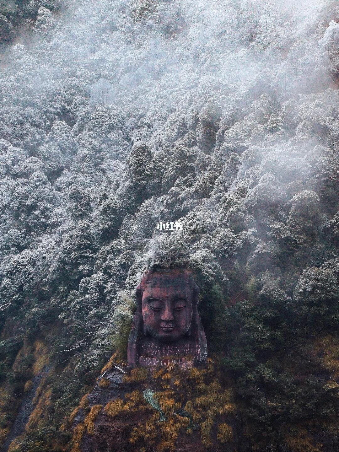 获赞10w+，有多少人是通过这组照片认识我的