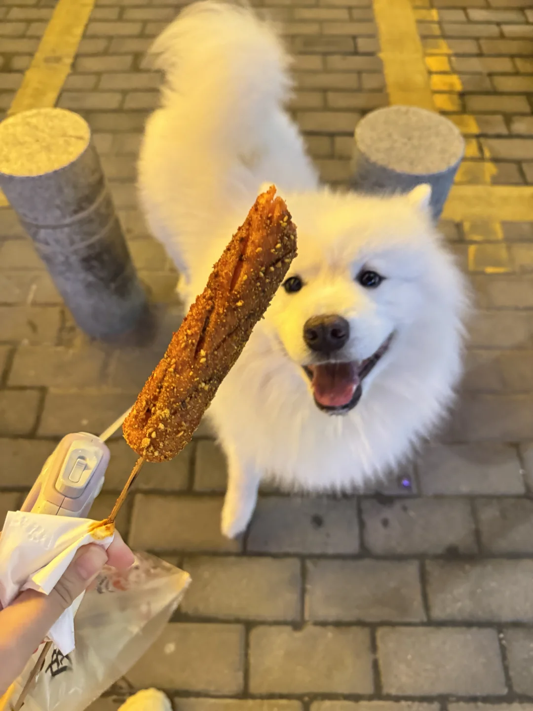 给我吃给我吃