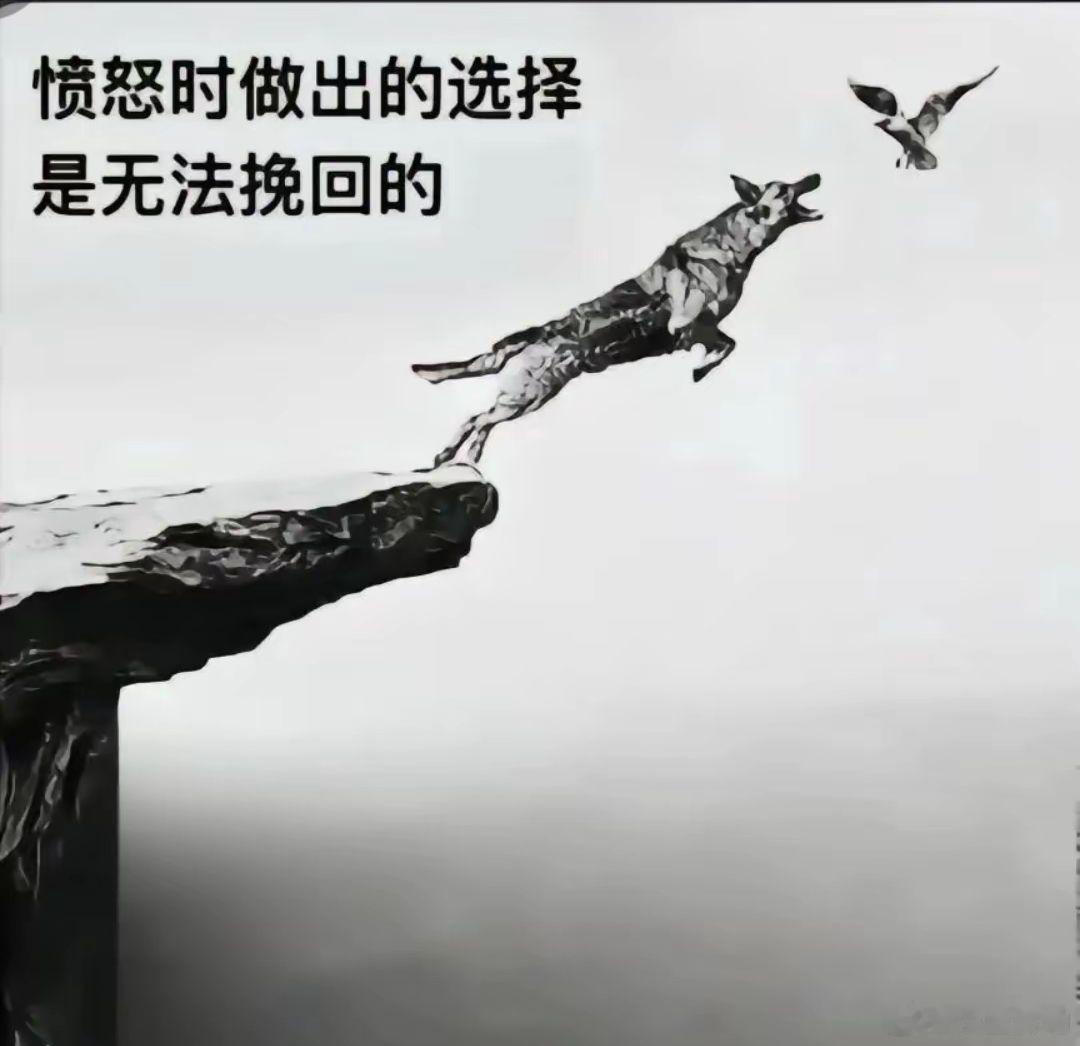 别被短暂的情绪裹挟，一时的执念，不值得一生的遗憾。 
