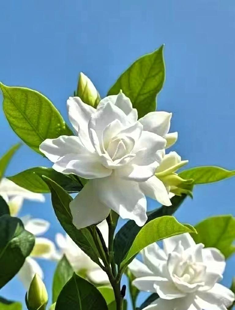 万万没想到啊，擦玻璃掉下去，摔死了
昨天小区里一个54岁做保洁的阿姨
给用户擦玻