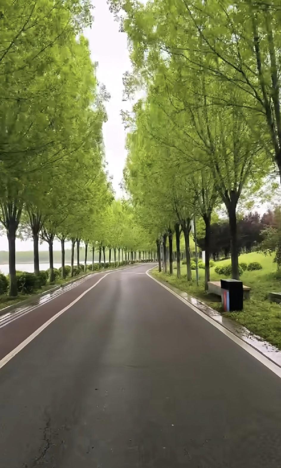 昨晚下班去洗车，在洗车店偶遇了我初中的化学老师，他正在帮人洗车。原来，这家小店是