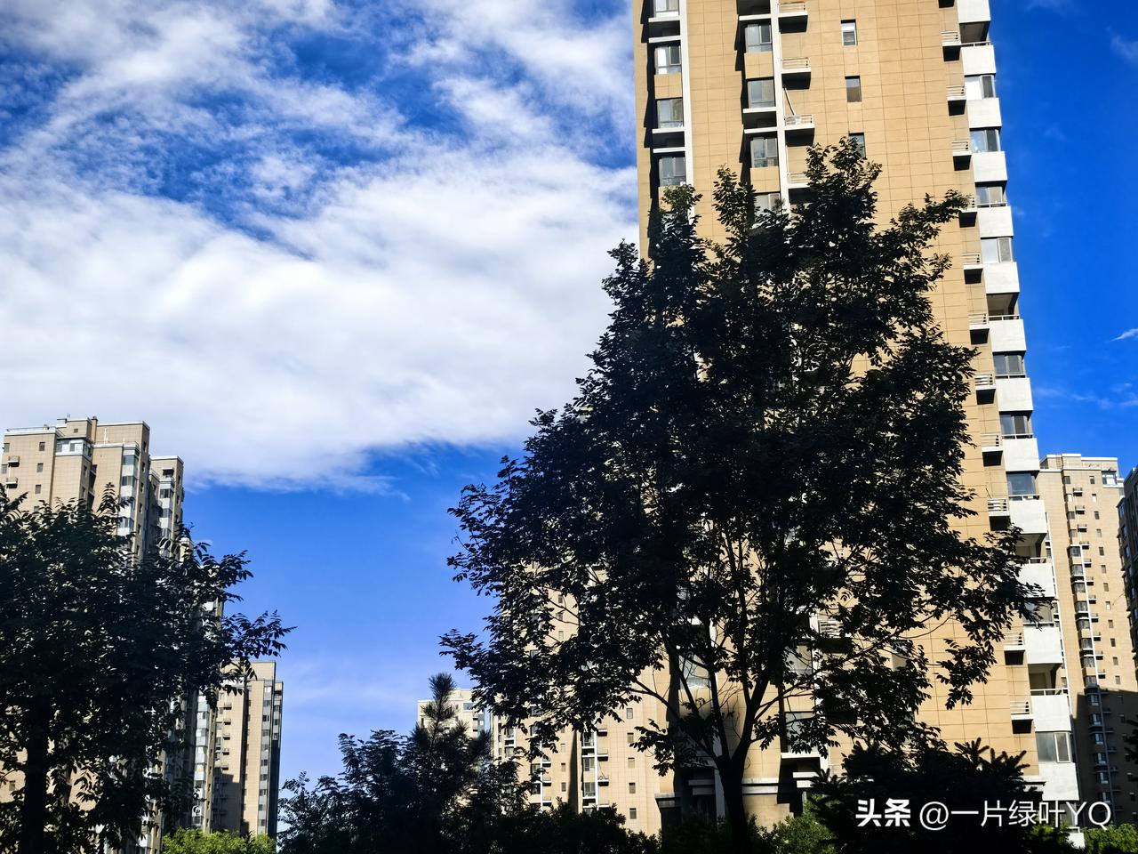 长天铺净蓝，楼宇绿树共沐晴光万里。