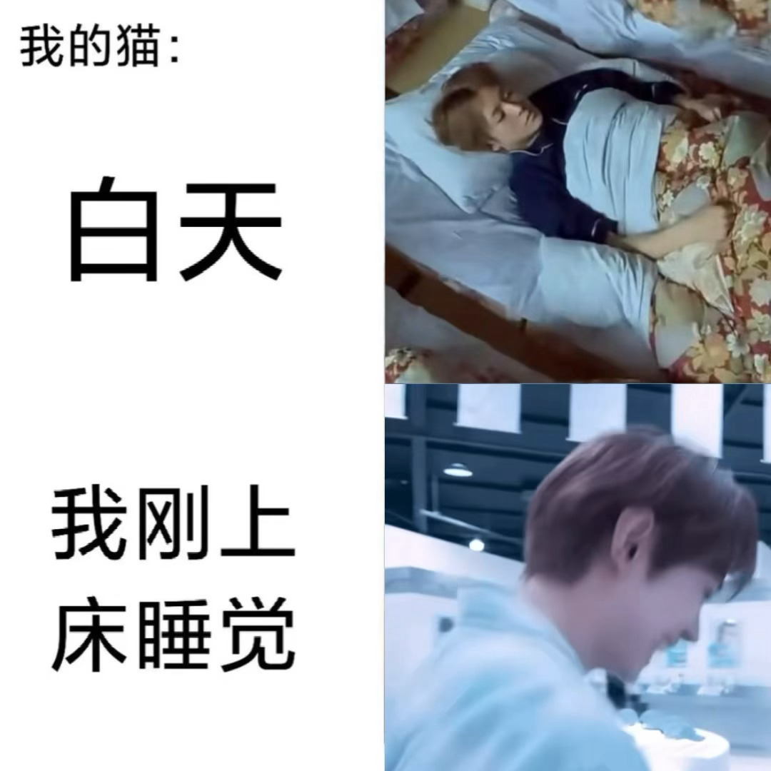 唉懵逼呀ಠ_ರೃ 