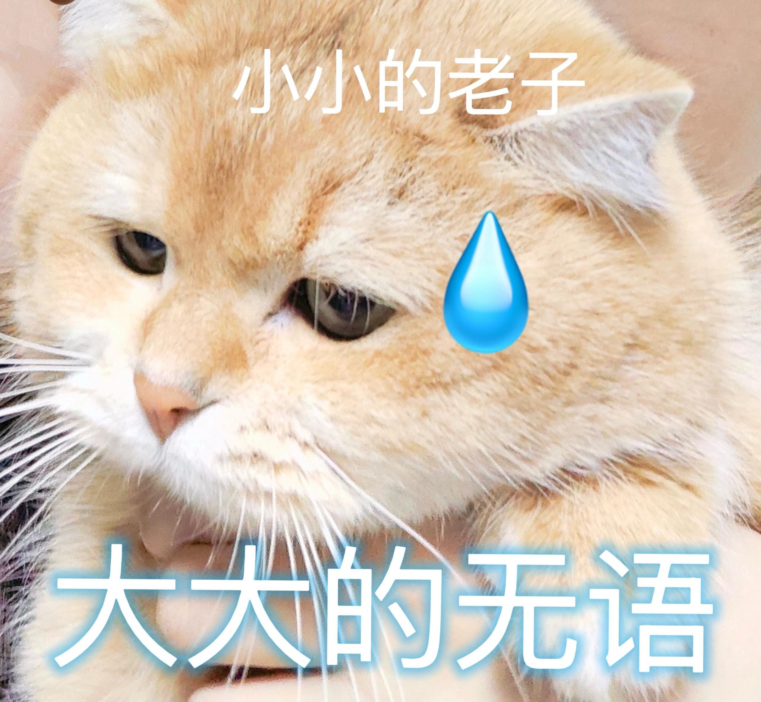 对打那个词条完全发不进去，带图片也被夹，试了好几次，我被制裁了？[生病] ​​​