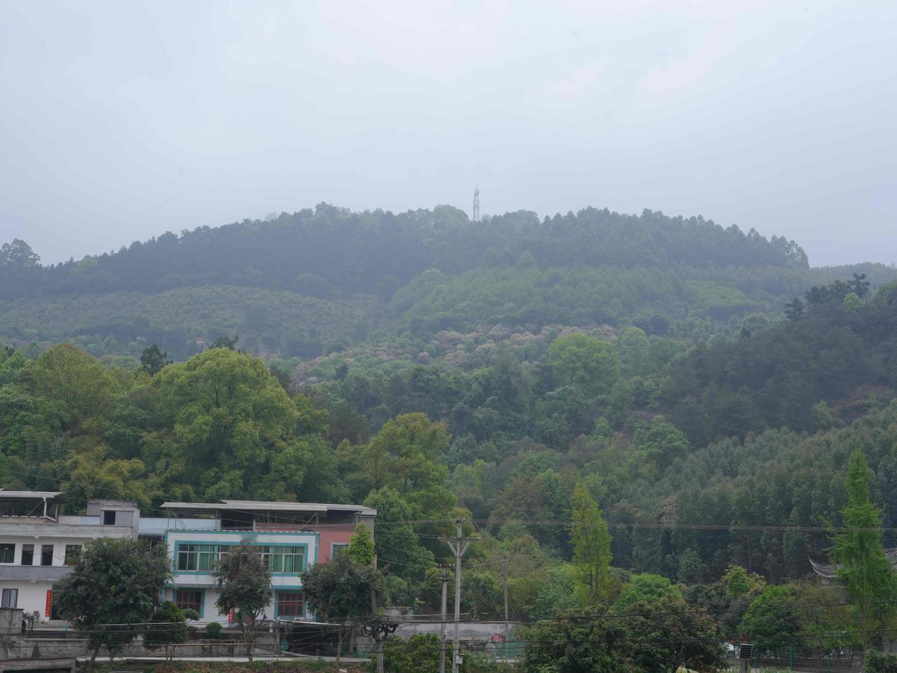 乡野踏春寻真味 泸州田埂见春风
    天气一暖，人就总想着往郊外走，想躲开城里