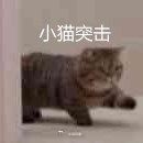 大家五一劳动节快乐！你们小长假都去哪儿啦~出去玩要注意出行安全，记得防晒哦！#呆