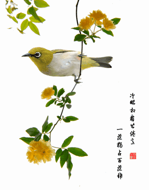 物质文明的提高，同时也促进了精神文明的升华，大家有没有感觉，最近几年，随地吐痰的