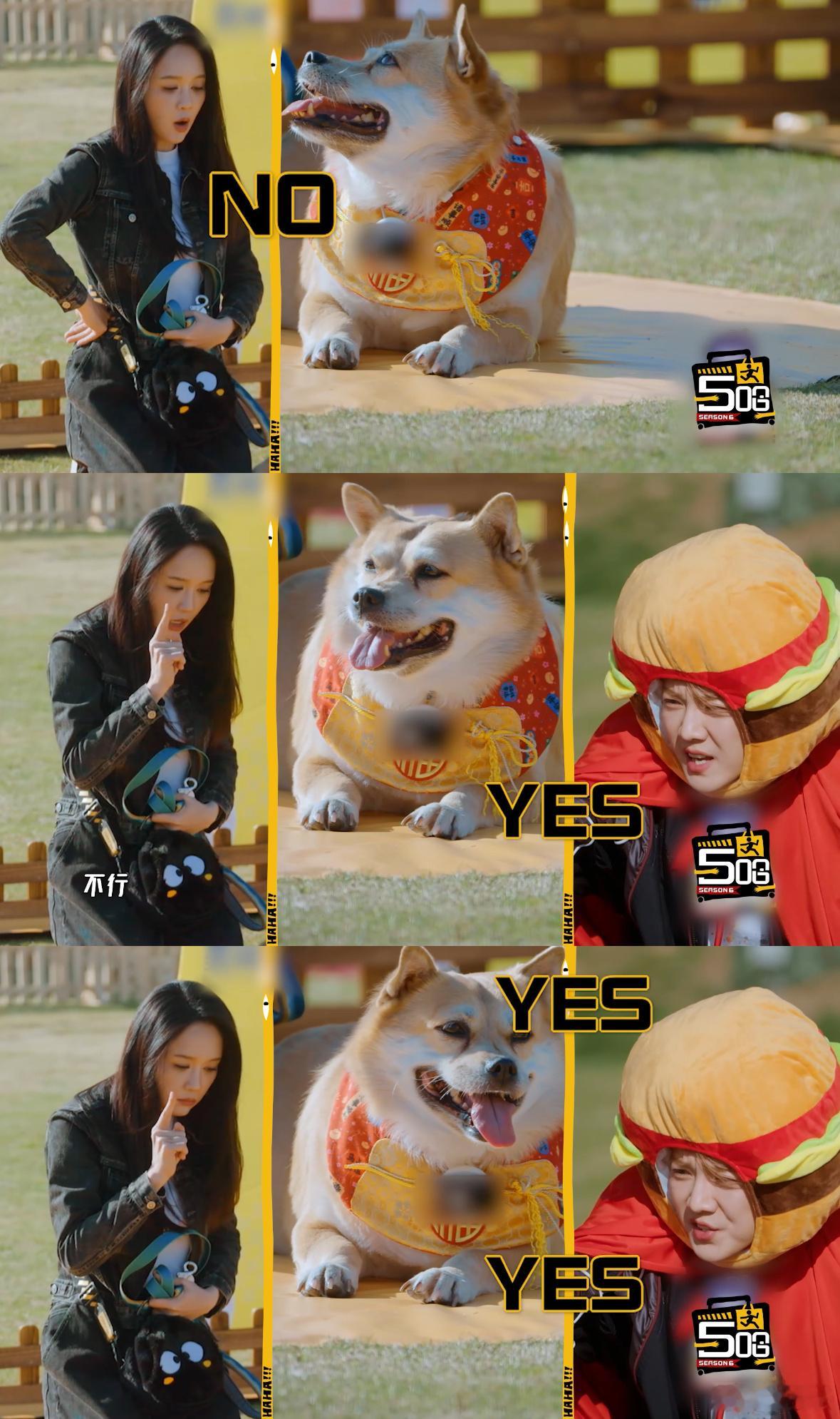陈乔恩nonono鹿晗yesyesyes “nononono”的坚持与“yes 