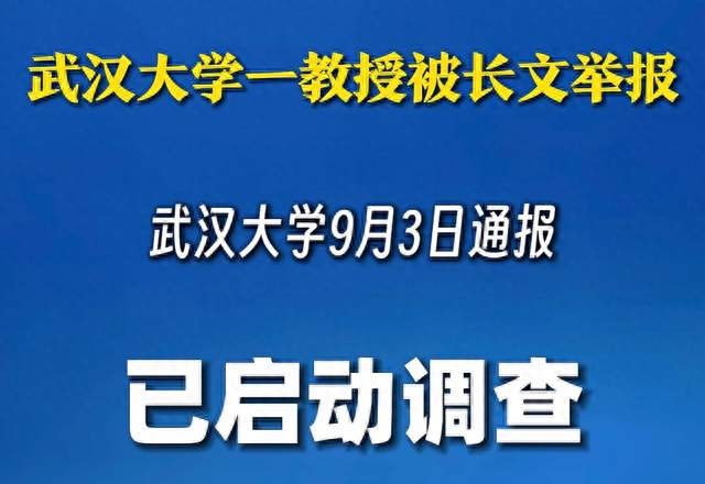 武汉大学女教授86页PDF被举报事件，事件男方为安徽大学副校长