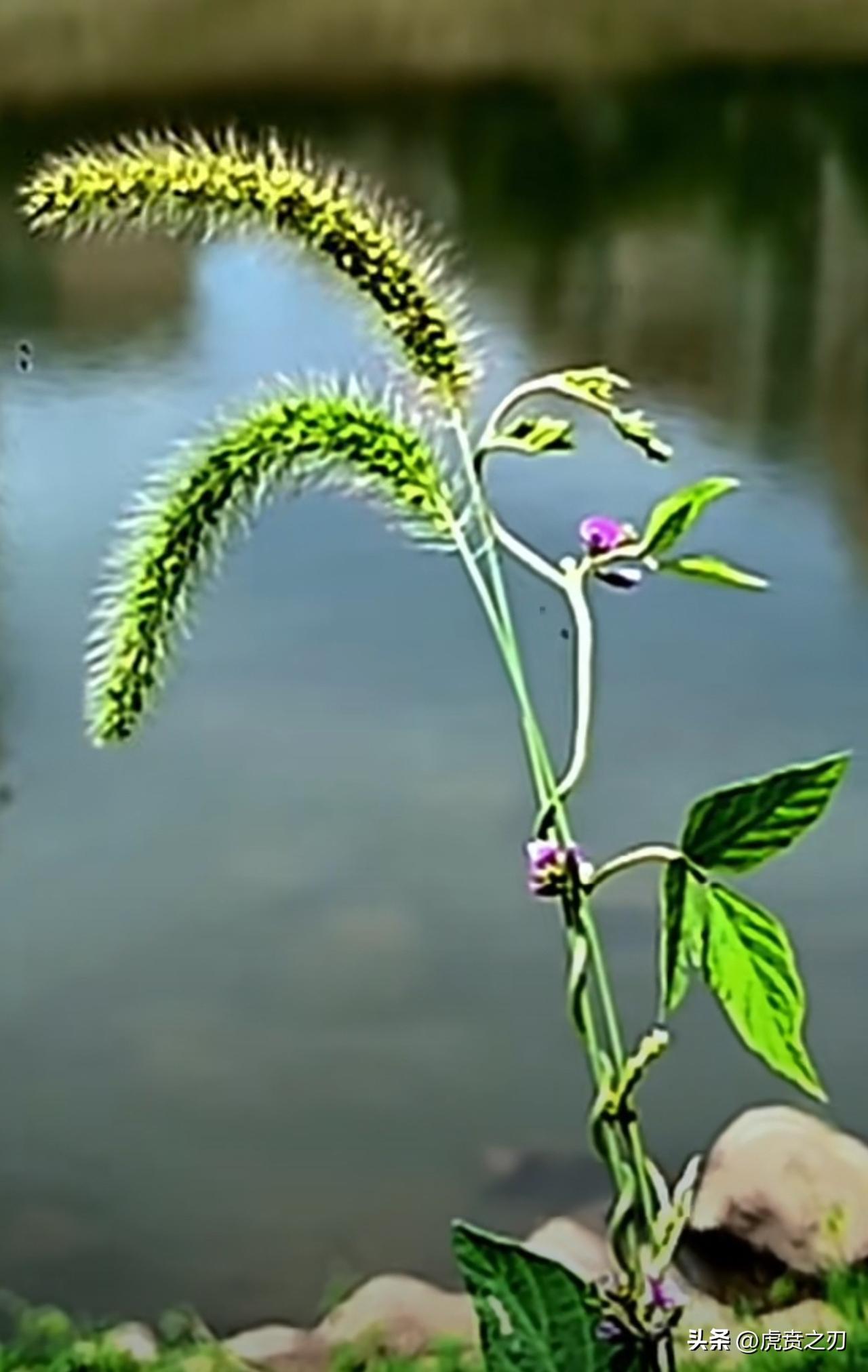 男人与女人之间生理性上的真喜欢是不可抗拒的

不是单纯欲望，不是敷衍将就，是身心