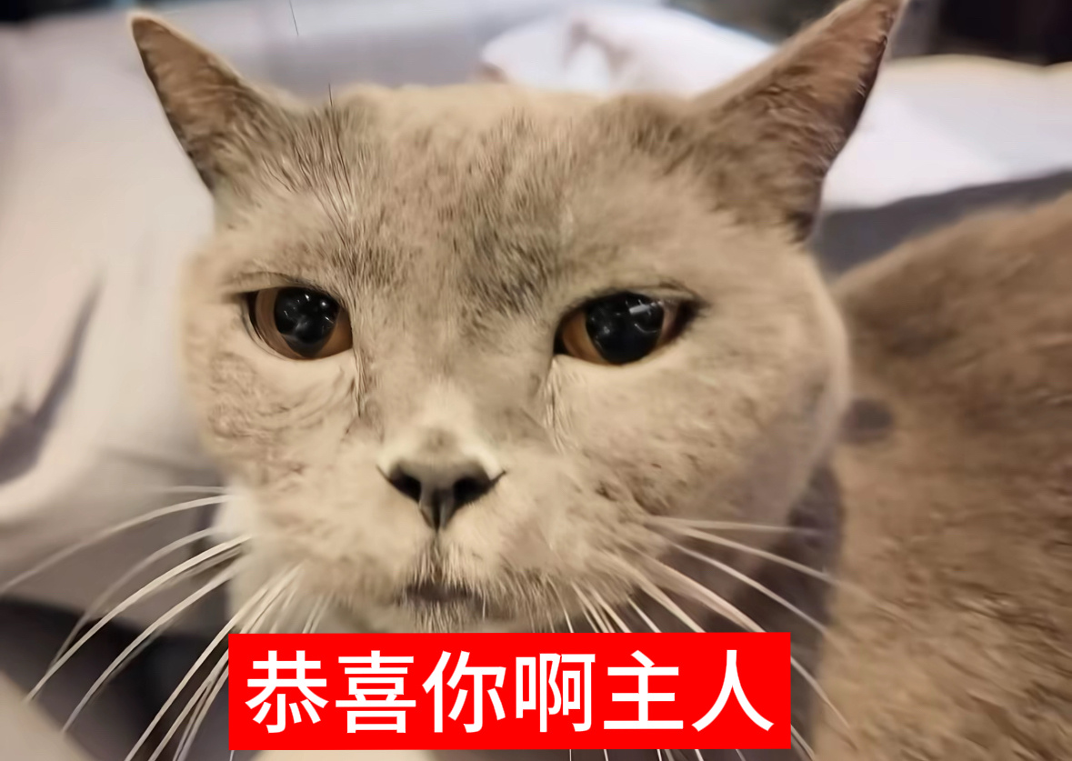 恭喜你呀思罕 