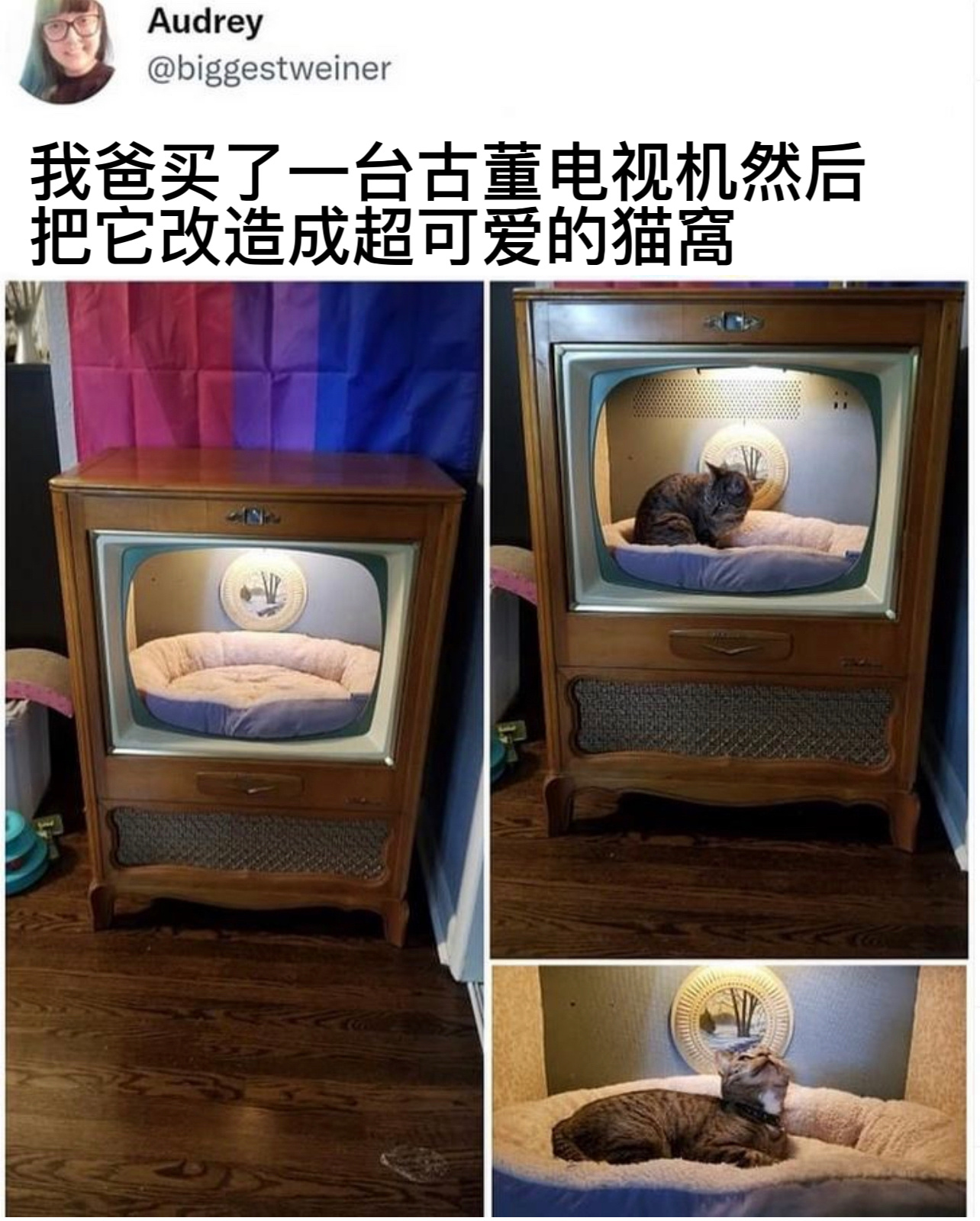 我也想入住[求关注]#今日memes# ​​​