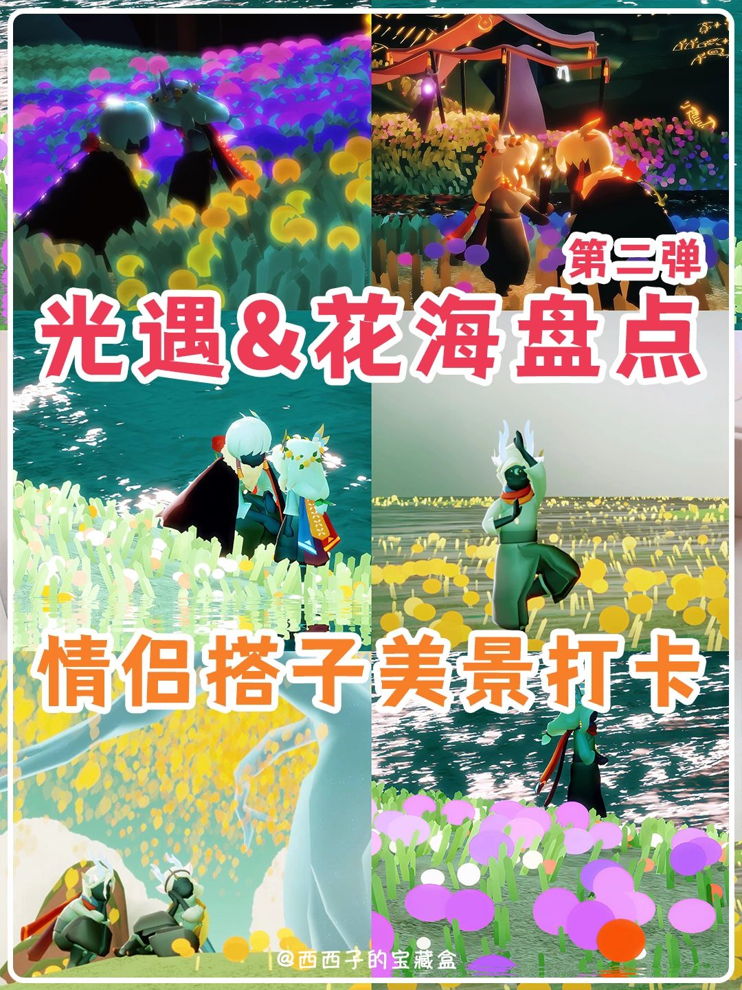 💐带搭子去花海拍照打卡丨她超喜欢嘟！