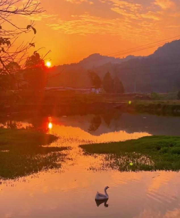 “夕阳无限好，只是近黄昏。”于我而言，家乡的落日，是一首悠扬的旧曲，是一幅绚丽的