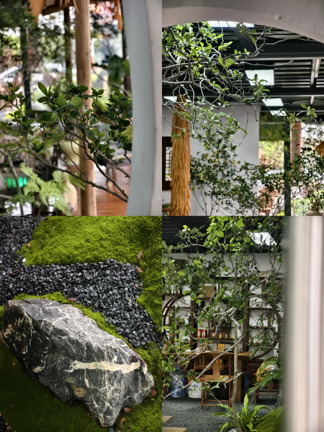 感受自然，绿意盎然🌿