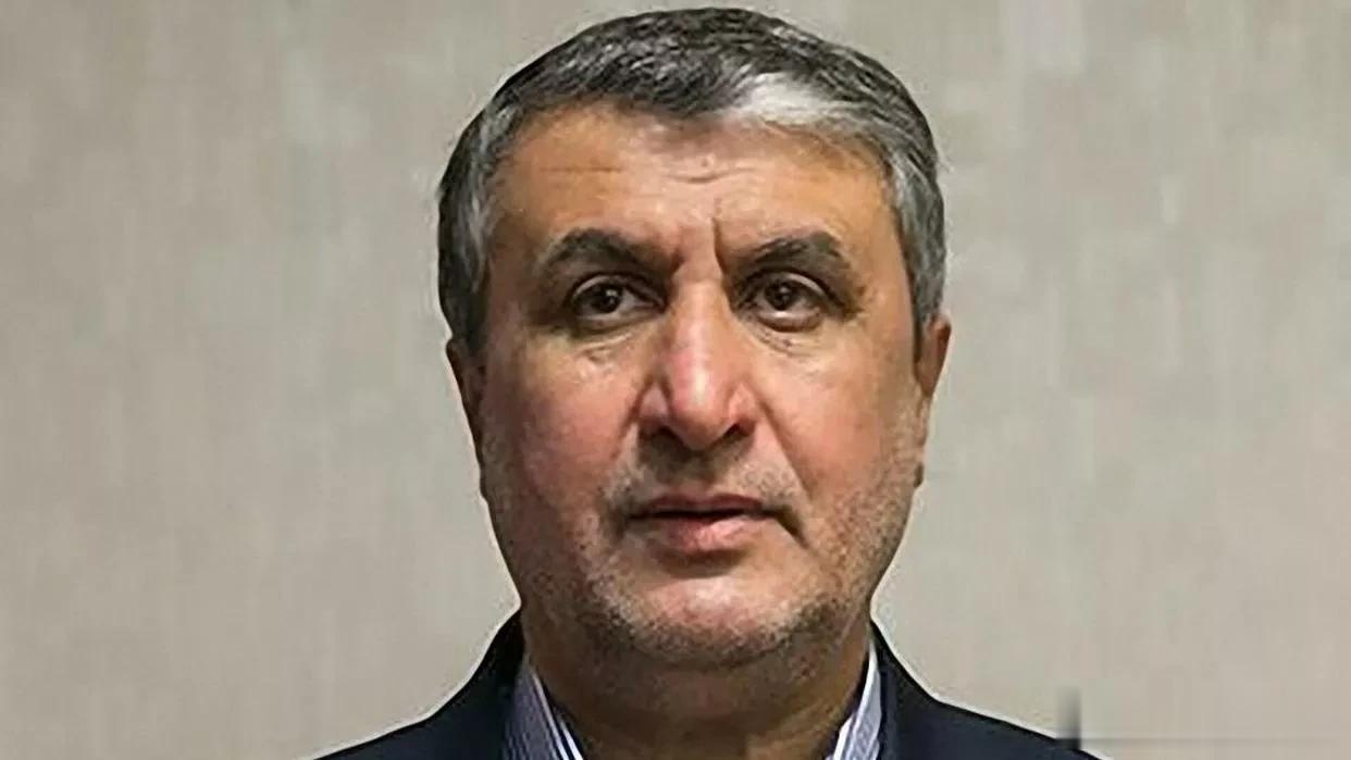 伊朗原子能组织主席：国际原子能机构在伊朗派驻120多名核查员

来源:俄罗斯卫星