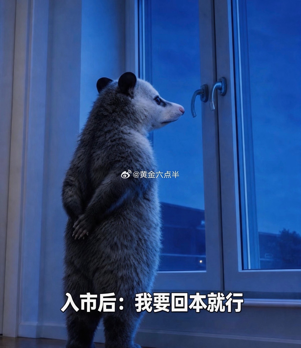问：六哥赚钱的单子我拿不住，什么原因？回：那是因为你怕亏钱。再问：亏钱的单子爱死