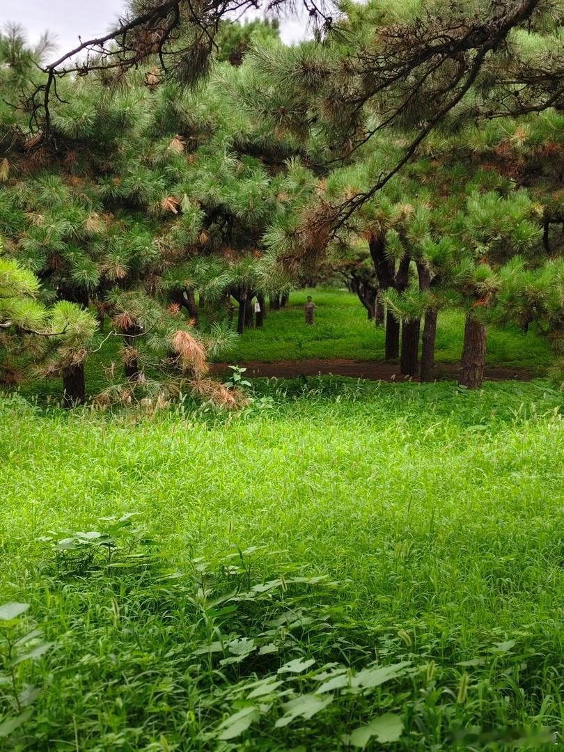 满目青翠，治愈所有燥热烦闷～寻美河南