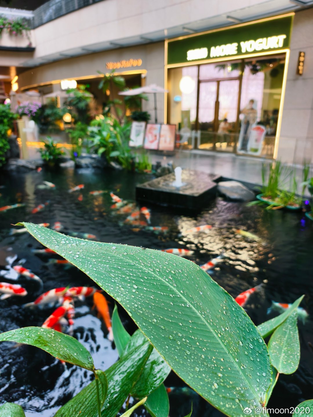 美食中山 雨无止境，如鱼得水