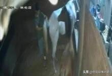 又是普吉岛！又是美国人！继泰国和菲律宾人妖大战之后，又出了一个奇葩的新闻。一名1