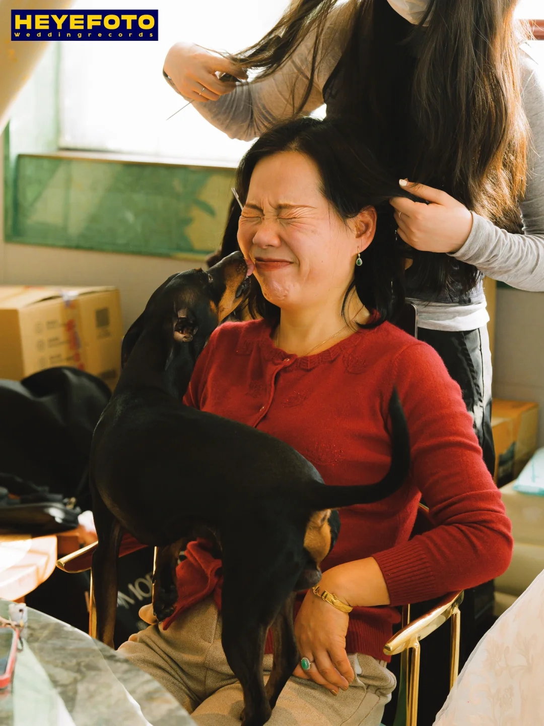 喜欢我的新Logo吗