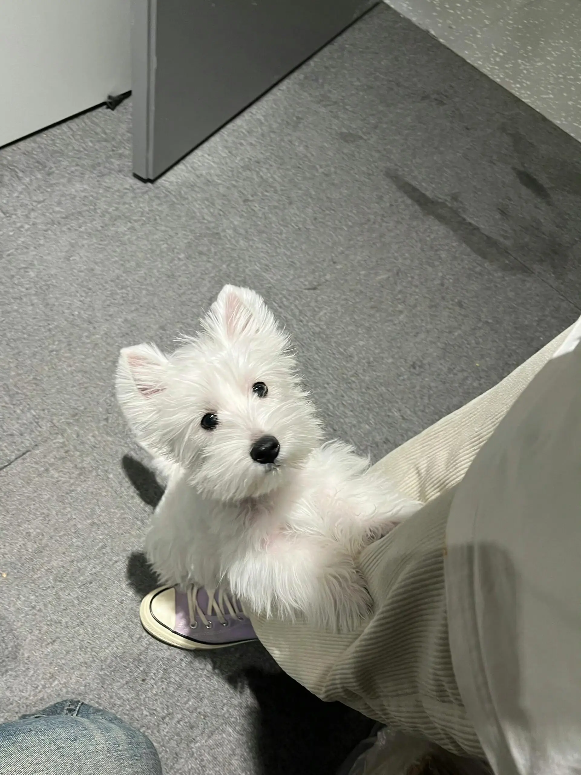 我应该可以把自己照顾好